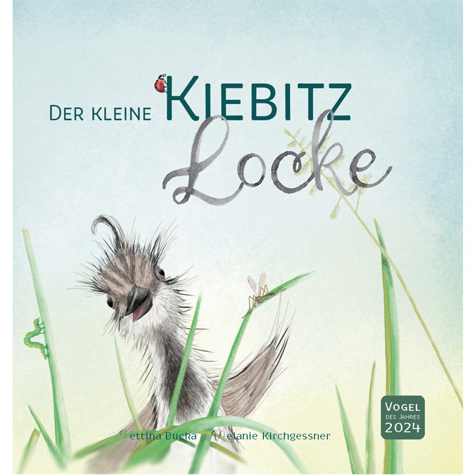 Der kleine Kiebitz Locke